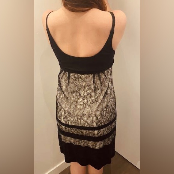 Lida Baday Lace Dress - Picture 2 of 4